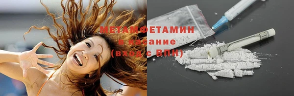 прущие грибы Навашино