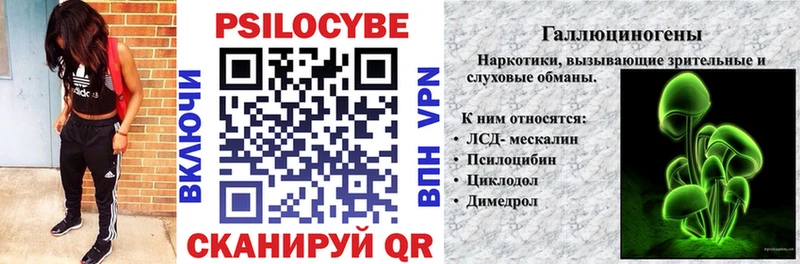 где купить Черкесск MEGA вход Псилоцибиновые грибы Psilocybe