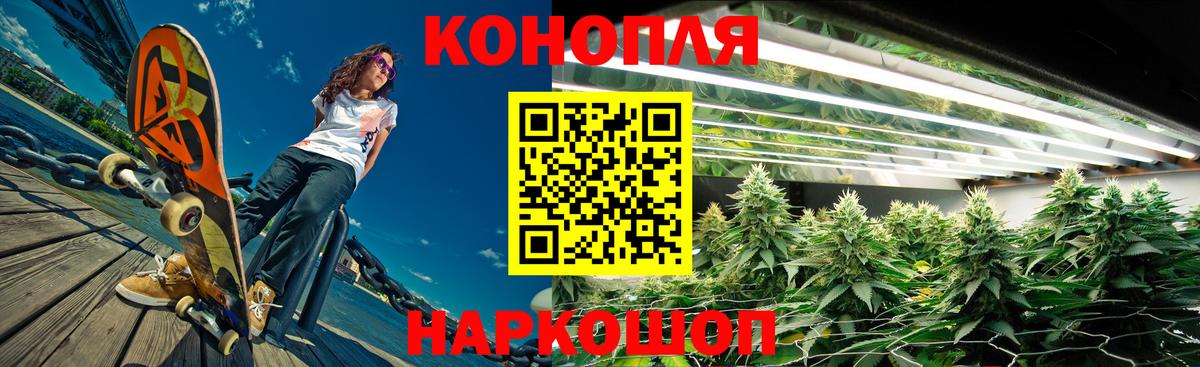 Конопля сатива Черкесск
